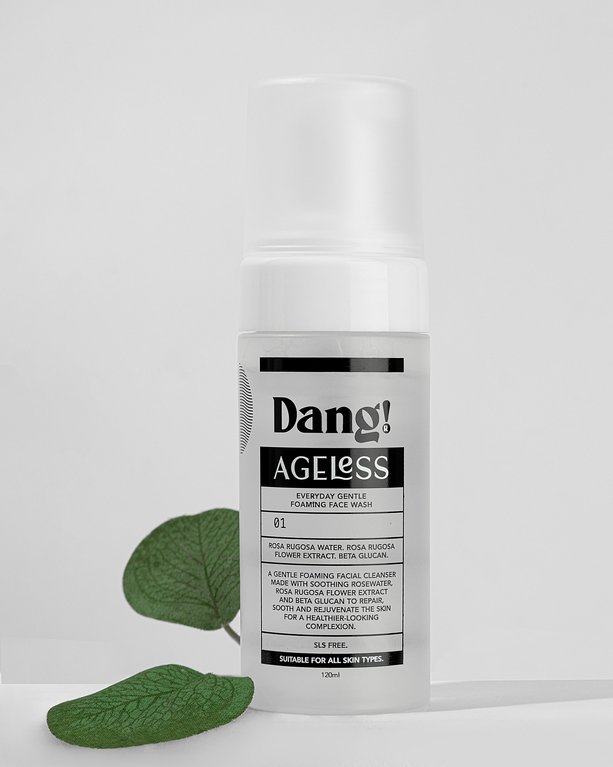 Dang! Ageless Everyday Gentle Foaming Face Wash